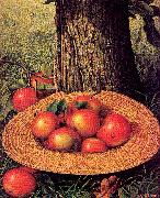 Prentice, Levi Wells Apples, Hat, and Tree China oil painting reproduction